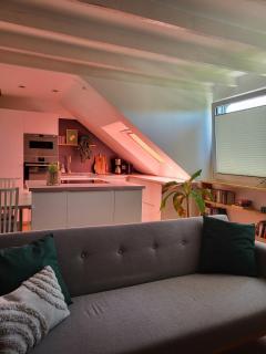 Lovingly designed apartment - 1