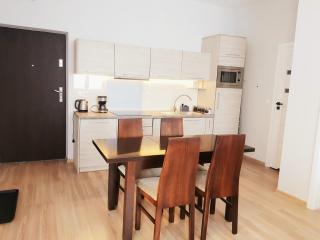 Apartament Familijny - Krynica-Zdrój - 9