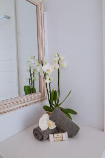 Ocean Dunes Hideaway - Umhlanga - 7