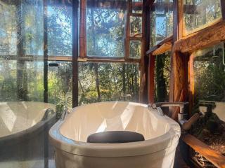 Casa Bambu Floresta Amada - 5