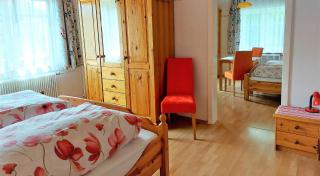 Ferienchalet Pruggern Schladming Dachstein - Pruggern - 9