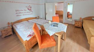 Ferienchalet Pruggern Schladming Dachstein - Pruggern - 5