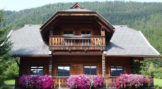 Chalet Alpensee Weissensee Kärnten - Weissensee - 0