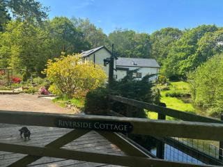 The Nest at Riverside Cottage - Honiton - 4