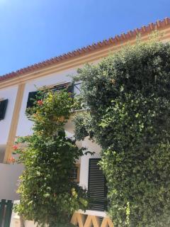 Casa da Oliveira - Vila Nova de Milfontes - 9