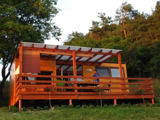 Chalupa U Vinaře - tiny house - Radějov - 9