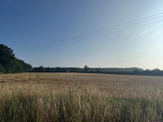 Arglam Lane Farm - Tranquil Countryside Retreat - Holme upon Spalding Moor - 6