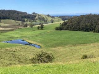Picturesque Pet-Friendly Farm Stay, Central Tilba , Near Mystery Bay! - 2