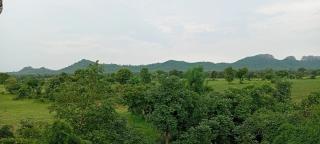 Aayurgram farm stay - 8