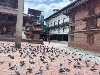 Charming Flat in Old Kathmandu - Kathmandu - 2