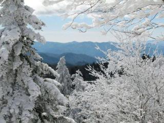 Cabin Fever by Beyond Expectations w Hot Tub - 6