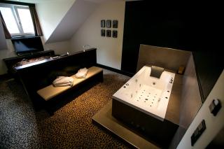 Hotel Seebrunn am Wallersee - 8