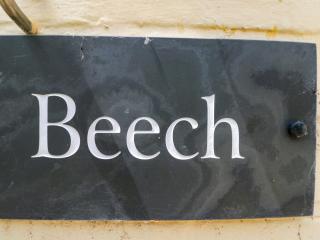 Beech - Newbury - 8