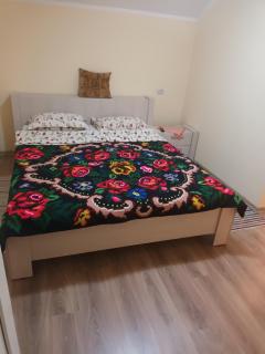 Casa Cerbului Moisei - Moisei - 1