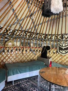 Traditional kyrgyz yurt - Karakol - 5