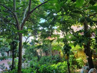 Jackfruit Homestay - Ha Long - 9