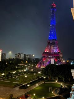 Designer 1bhk apartment Eiffel tower view - Lahore - 9
