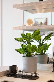 Daniels 1BR at Jumeirah Village Circle Brand New - 4