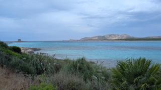 Villa Liliana Your Private Oasis with Pool - Cuile Pazzoni - 9