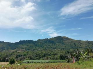 Balai Diclum - 3