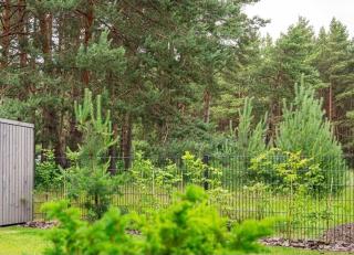 Cozy Spot in pinewood apartment - Palanga - 7