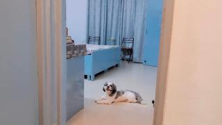 Modern 2BHK Comfort Home - Mohali - 5