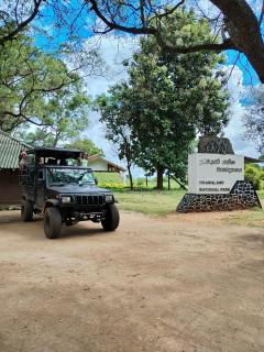 Induwara Safari Resort - Uda Walawe - 5