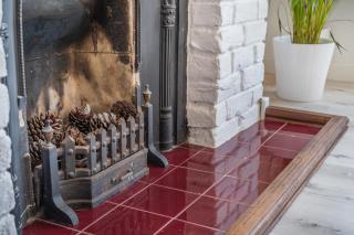 Genista - Dartmouth - 6