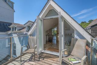Genista - Dartmouth - 5