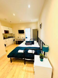 Nice One Bedroom Apartment in the City of London - Londra - 6