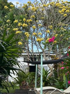 Rumah Ibu Private Garden Unit in Shared Property in Seseh - 2