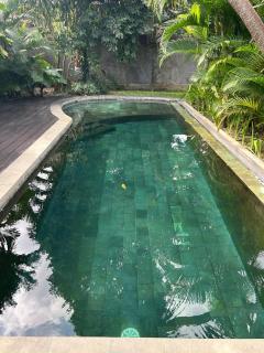 Rumah Ibu Private Garden Unit in Shared Property in Seseh - 1