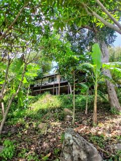 Jasmin Garden Koh Kood - 2