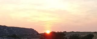 Il giardino del Sole - Florinas - 1