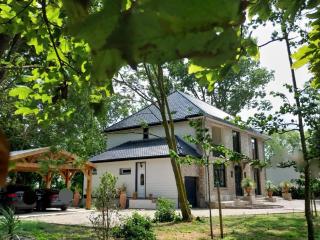 Le Manoir - Guemps - 9