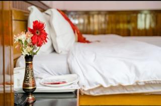 Doma Recidency Gangtok - 4