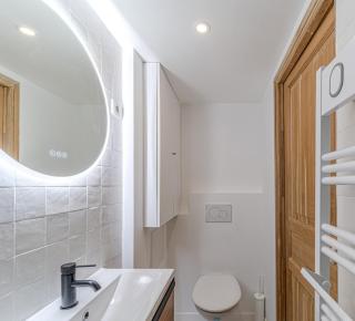 Bright loft with mezzanines Lyon 3 near Saxe-Gambetta - 1