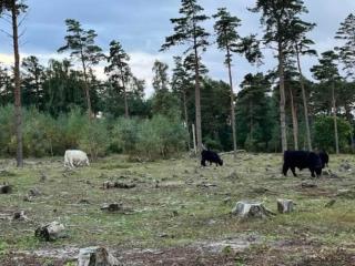 5 person holiday home in Millinge - 2