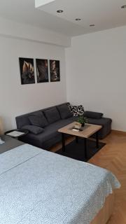 Vist 2 apartment - Tošin Bunar - 5