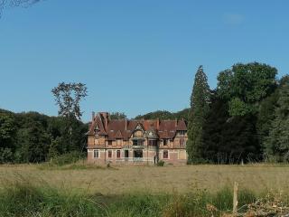Grand gîte "Le gardien du château de Brocéliande", vue unique sur l'étang du Pas du Houx - Paimpont - 9