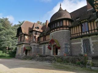Grand gîte "Le gardien du château de Brocéliande", vue unique sur l'étang du Pas du Houx - Paimpont - 8