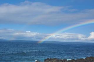 Oceanfront studio see whales and dolphins - Pahoa - 6