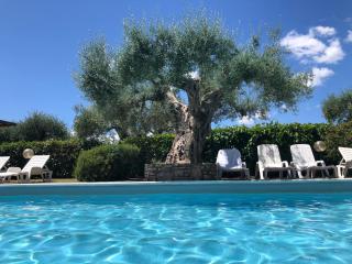 Home from Home in Passignano - Lakeside views! - Passignano sul Trasimeno - 4
