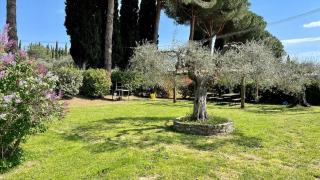 Home from Home in Passignano - Lakeside views! - Passignano sul Trasimeno - 6