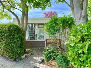 Marinus, lovely bungalow near the sea and most beautiful dune area in the Netherlands - 8