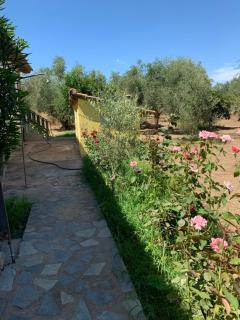 Christinas Home - 7