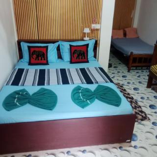 Nelum Home stay - Sigirîya - 8
