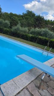 Villa del Poggio - Poggio Mirteto - 9