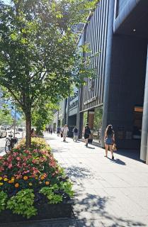 Elegant 2BR & 2BA Retreat in Prime Yorkville, Downtown - Toronto - 4