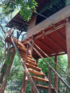 Dambulla Tree House - Dambulla - 9